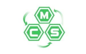 MCSM Logo